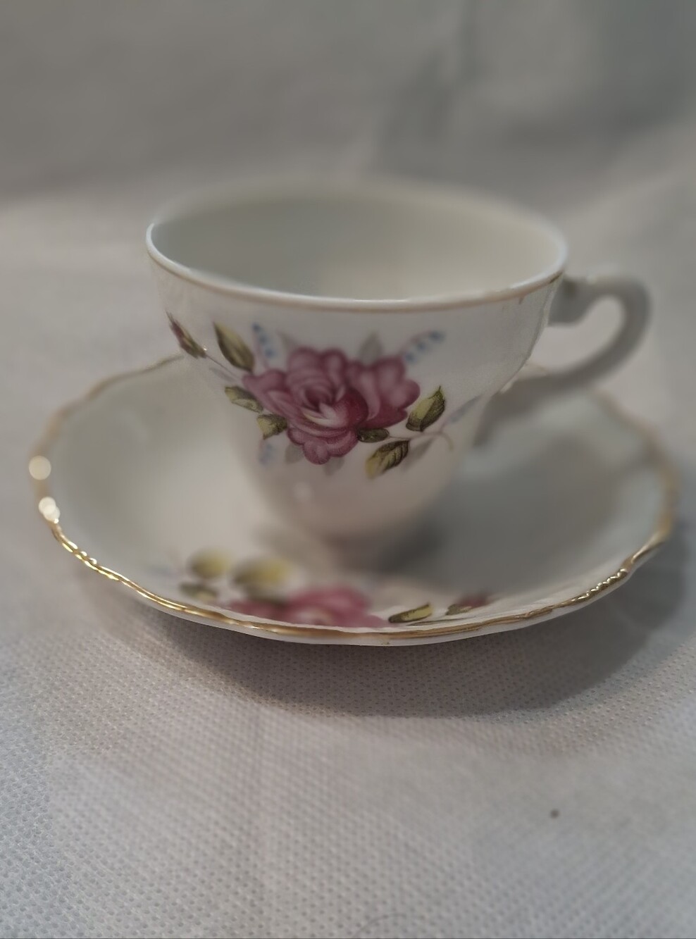Vintage White Porcelain Floral Tea Cup & Saucer Set With Gold Trim